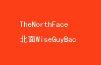 TheNorthFaceWiseGuyBackpackŮͬ˫